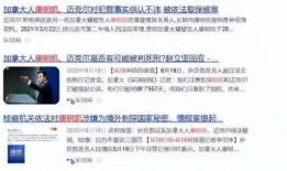 最新爆料的间谍是谁啊,神秘人物引发全球关注